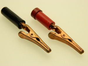 Pair instrument clips