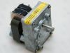 Gear motor 30rpm 110/220Vac  LIMIT TYP P