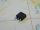 LD1117DT 25TR   SMD STmicroelectronics  (n.10 pezzi)